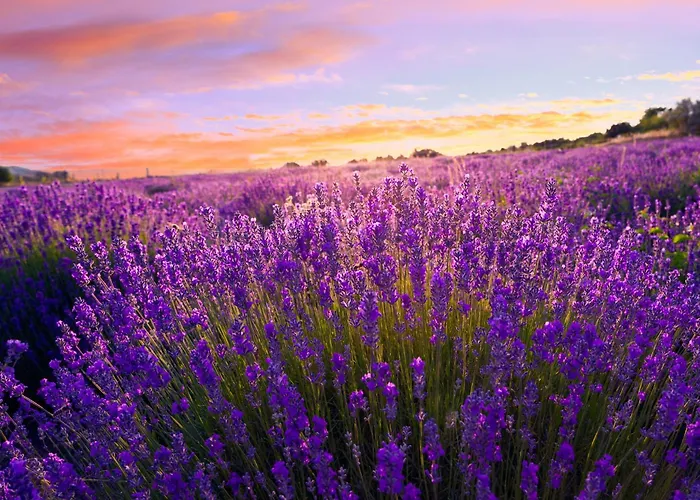 Appartement Siofok, Somogy 1 *